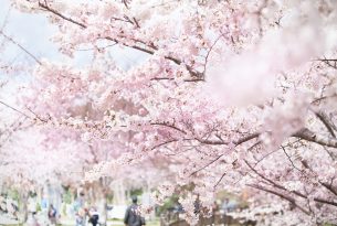 20120407170204