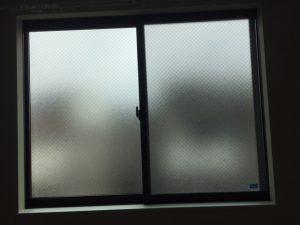 IMG_8347