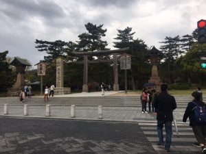 IMG_5853