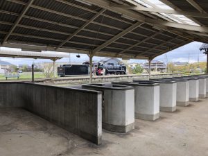IMG_5854