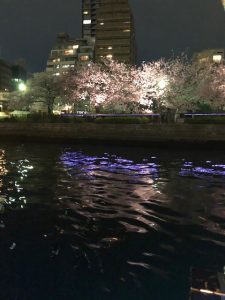 IMG_0326